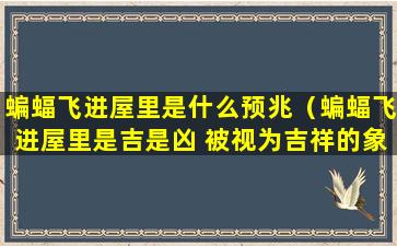 蝙蝠飞进屋里是什么预兆（蝙蝠飞进屋里是吉是凶 被视为吉祥的象征）